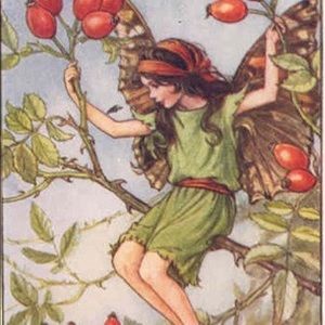 Meet your Posher, Avery